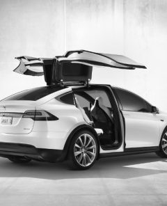 Tesla Model X (Foto: Pressematerial, Tesla)