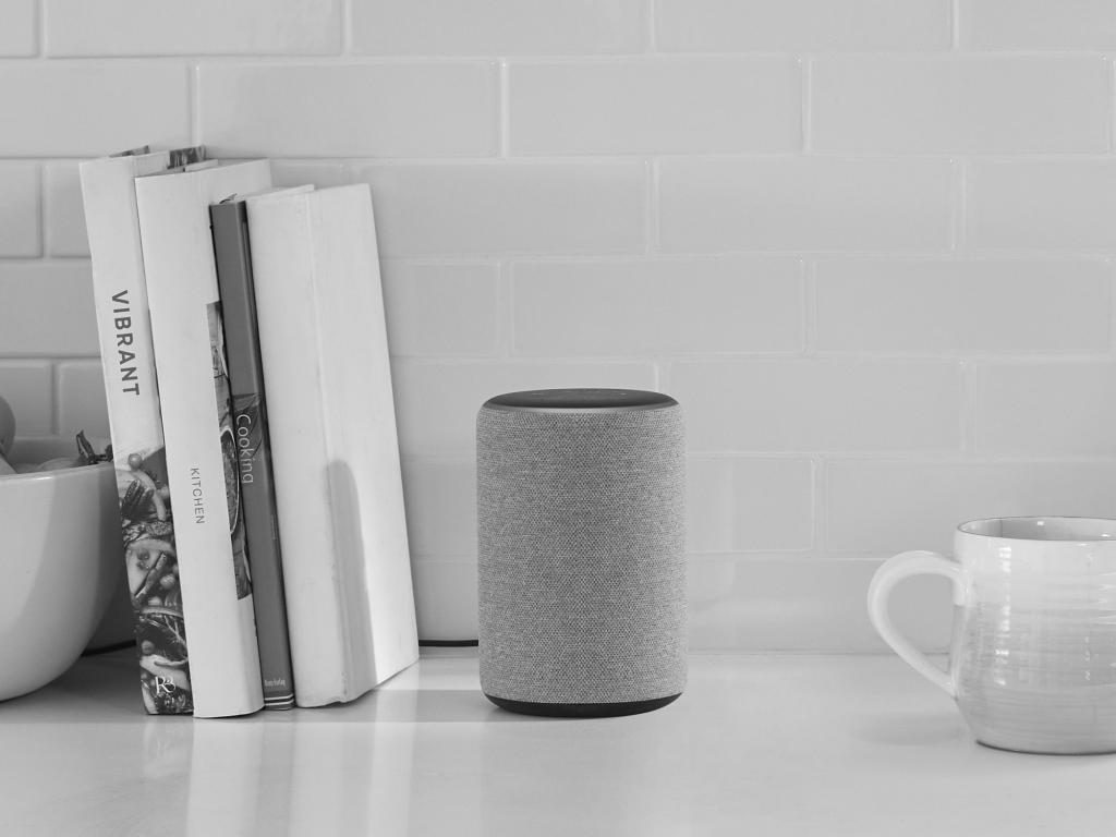 Im Guard-Modus überwacht Alexa die Wohnung. 