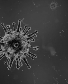 Künstliche Intelligenz hat Tage vor der ersten Meldung vor dem Coronavirus gewarnt (Foto: Pixabay)