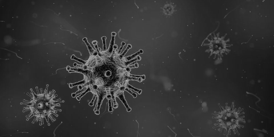 Künstliche Intelligenz hat Tage vor der ersten Meldung vor dem Coronavirus gewarnt (Foto: Pixabay)