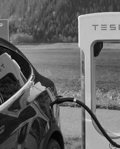 Tesla-Baustelle in Deutschland gestoppt: Tesla zahlt Rechnungen nicht