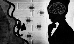 brain