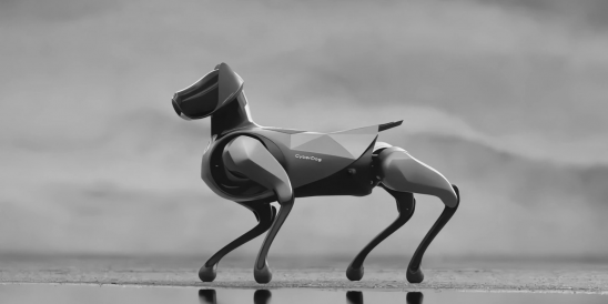 cyberdog