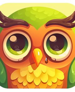 duolingo-sad