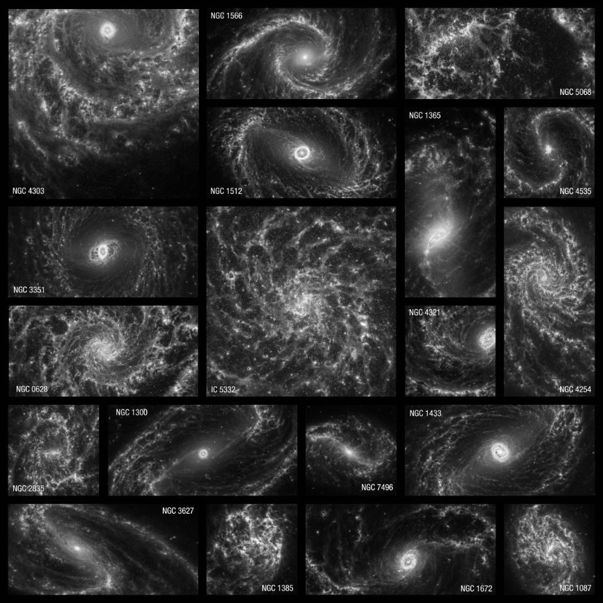 
Blick auf die 19 nahegelegenen Spiralgalaxien, die mit dem Weltraumteleskop James Webb beobachtet wurden. Bild: NASA, ESA, CSA, STScI, Janice Lee (STScI), Thomas Williams (Oxford), PHANGS Team