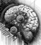 ai-brain-sleep-neural-pathways