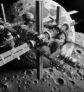 ai-gateway-lunar-station-halo-module