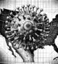 ai-virus-spread-health-risk-pandemic-threat