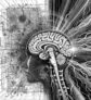 ai-adhs-kinder-ki-gehirntraining