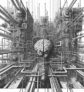 ai-brain-genetic-synapses