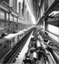 migration-innovation-wohlstand
