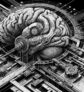 ai-brain-dynamics-diagnosis