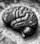 ai-brain-health-predictors