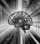 ai-brain-reward-timing-vta