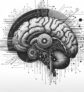 ai-brain-rhythm-neuroimaging