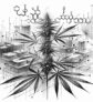 ai-cannabis-entourage-effect