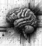 ai-empathy-personalization-emosync