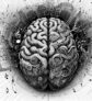 ai-music-emotion-brain-transitions