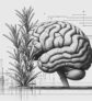 ai-rosemary-brain-health-natural-remedy