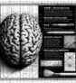 ai-brain-adhd-psychostimulants