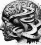 ai-brain-emotional-memory