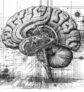 ai-brain-neural-bookmarks-memory