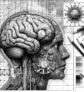 ai-brain-neural-network-3d-model