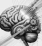 ai-brain-neural-pathways