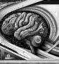 ai-brain-stress-cognitive-decline