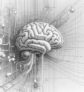 ai-brain-sugar-dementia-protection