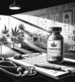 ai-cannabis-oil-epilepsy-treatment