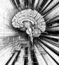 ai-dopamin-striatum-gehirn-bildgebung