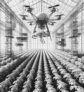 ai-drone-greenhouse-monitoring
