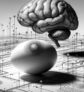 ai-eier-alzheimer-gehirngesundheit