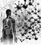 ai-erythrit-zuckerersatz-gesundheit-risiken