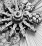 ai-neuralimplantate-dexamethason-beschichtung