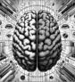 ai-parkinson-asymmetry-cognitive-emotional