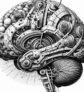 ai-prozac-brain-mood-timing