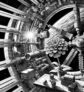 ai-space-flower-iss