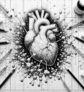 ai-tricaprin-herzgesundheit-nahrungsergänzung