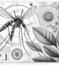 ai-west-nile-virus-mosquito-health-prevention