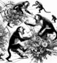 macaques-menschen-studie-konflikte