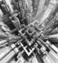 schnellere-reifung-von-neuronen-einblicke-in-die-neuronale-entwicklung