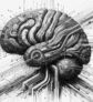 ai-brain-mind-neural-pathways