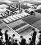 ai-agriculture-startup-innovation