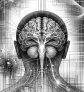 ai-brain-aging-positivity