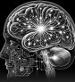 ai-brain-neural-pathways