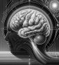 ai-brain-rhythm
