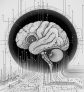 ai-brain-structure-function