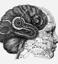 ai-chatbot-learning-feedback